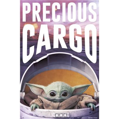 Poster Star Wars The Mandalorian Precious Cargo