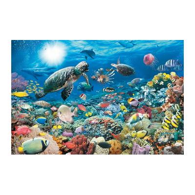 Mundo Marino Maravillas 17426 5000 Pcs