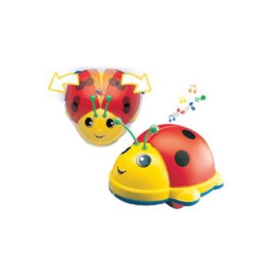 Lady Bug 256 - Molto