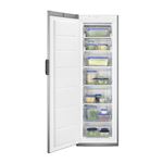 Congelador Zanussi 925 052 580 276L Gris F