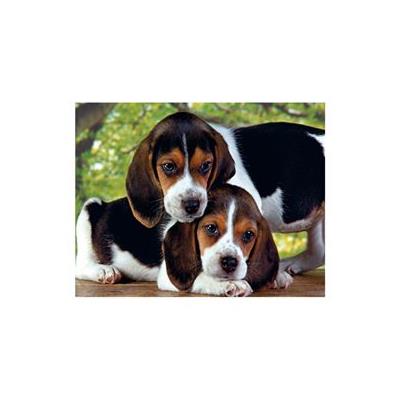 Puckator Puzzle Juntos 500Pzs - Imagen 2