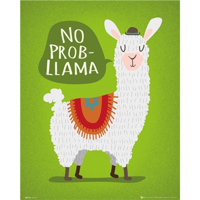 Mini Poster Llama No Probllama 40x50 cm