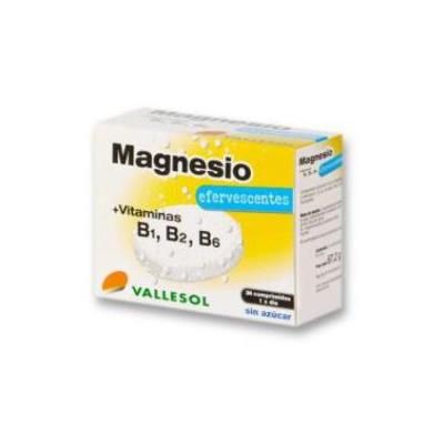 Magnesio+b Efervescente 24comp.