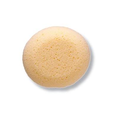 Esponja Hidrofila