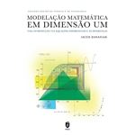 Modelação matemática em dimensão Um