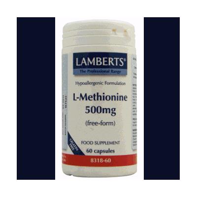 Lamberts Metiotina 500 Mg 50 Caps - Imagen 2