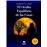 El Oculto Equilibrio de las Cosas_0