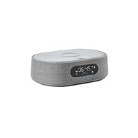 Altavoz Bluetooth Harman Kardon Citation Oasis Gris