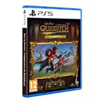 Harry Potter: Campeones de Quidditch Deluxe Edition PS5