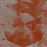 Qxn948s - Vinilo Transparente