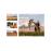 You are here rough guides