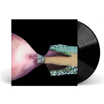 Painted shield 2 - Vinilo