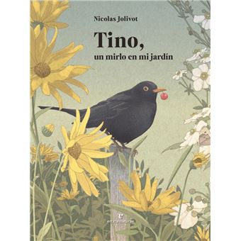 Tino Un Mirlo En Mi Jardin