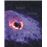 Veñen Corvos Voando Baixo