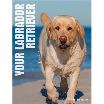 Your Labrador Retriever - 1