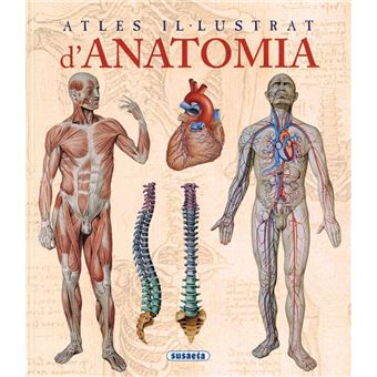 Atles d'anatomia