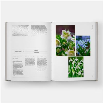 Phaidon The Seasonal Garden