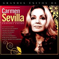 Grandes Éxitos - 2 CD