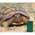 Les Tortugues De Terra I La Tortuga D`Aigua A Les Illes Bale