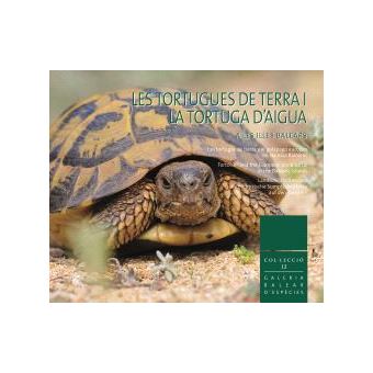 Les Tortugues De Terra I La Tortuga D`Aigua A Les Illes Bale