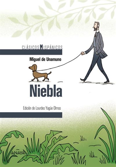 Anaya Infantil Y Juvenil Niebla