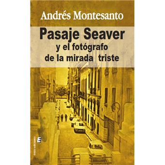 Pasaje Seaver Y El Fotografo De La Mirada Triste