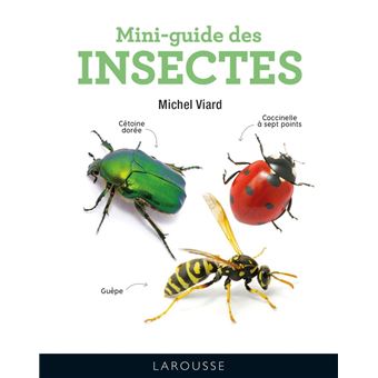Mini-guide des insectes - 1