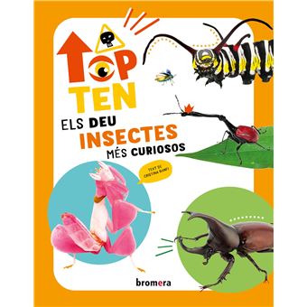 Top Ten Els deu insectes més curiosos - 1