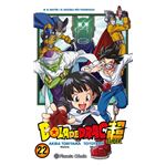 Bola de Drac Super nº 22