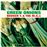 Green Onions - Vinilo color