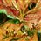 O Camiño das Mans Valeiras - Vinilo