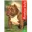 American bully