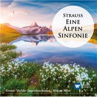 Eine A - Viniloensinfonie