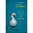 El patito que nunca llegó a ser cisne