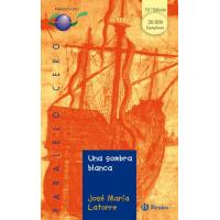 Una sombra blanca (ebook)
