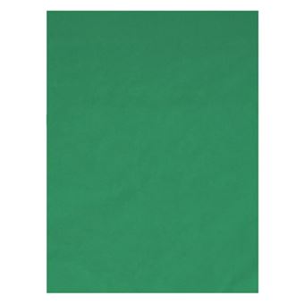 Croma verde T'nB Influence 150 cm - Accesorios Foto - Compra al mejor  precio