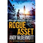 Rogue asset