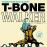Great Blues Vocals & Guitar - CD