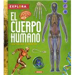 El cuerpo humano