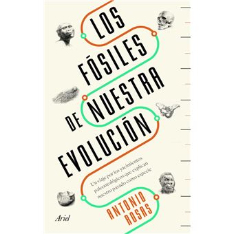 Los fósiles de nuestra evolución - 1