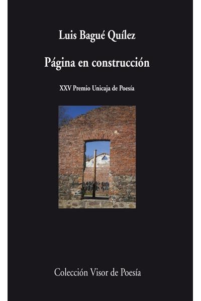 Visor Libros, S.l. Páginas En Construcción