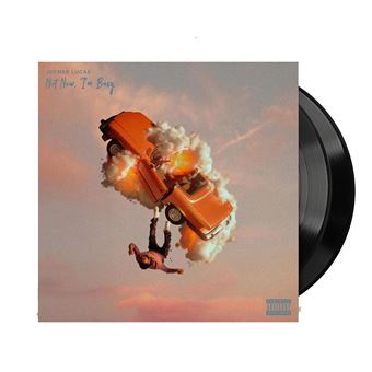 Not Now I M Busy - 2 Vinilos