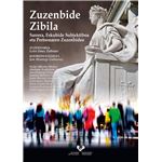 Zuzenbide zibila