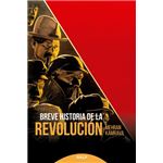 Breve historia de la revolucion