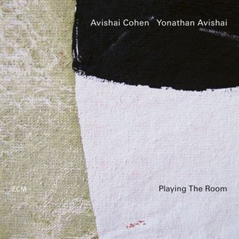 Playing The Room - CD
