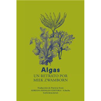 Algas