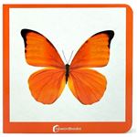 Naranja