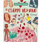 Cuerpo Humano