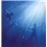 Lp-total life forever (azul)