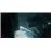 Alien Romulus - UHD + Blu-ray